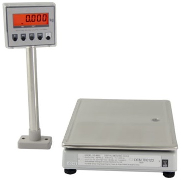 POS Interface Scale with Pole Display