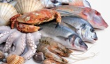 Seafood Shop POS System & POS Software - Cash Register